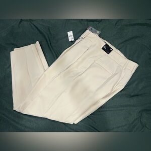 Express Women’s Dress Pants